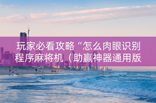 玩家必看攻略“怎么肉眼识别程序麻将机（助赢神器通用版）