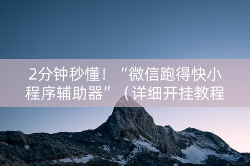 2分钟秒懂！“微信跑得快小程序辅助器”（详细开挂教程）-哔哩哔哩