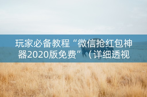 玩家必备教程“微信抢红包神器2020版免费”（详细透视教程）-哔哩哔哩