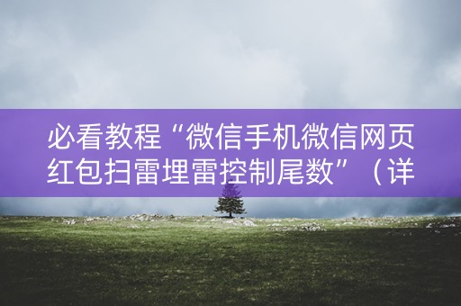 必看教程“微信手机微信网页红包扫雷埋雷控制尾数”（详细透视教程）-哔哩哔哩