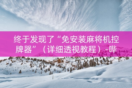 终于发现了“免安装麻将机控牌器”（详细透视教程）-哔哩哔哩