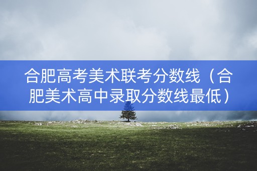合肥高考美术联考分数线（合肥美术高中录取分数线最低）