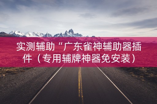 实测辅助“广东雀神辅助器插件（专用辅牌神器免安装）