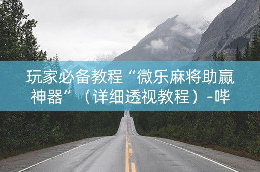 玩家必备教程“微乐麻将助赢神器”（详细透视教程）-哔哩哔哩