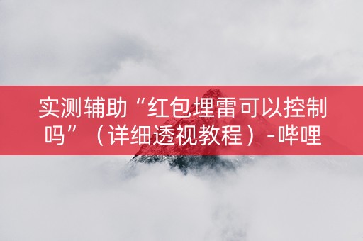实测辅助“红包埋雷可以控制吗”（详细透视教程）-哔哩哔哩