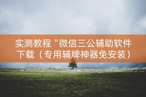 实测教程“微信三公辅助软件下载（专用辅牌神器免安装）