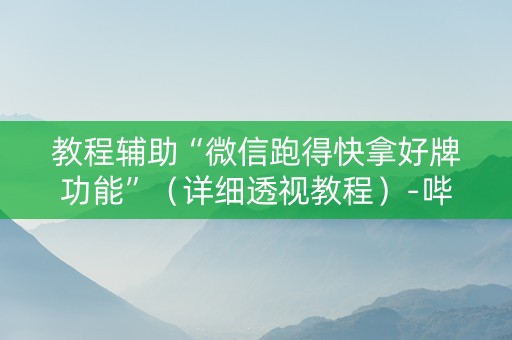 教程辅助“微信跑得快拿好牌功能”（详细透视教程）-哔哩哔哩