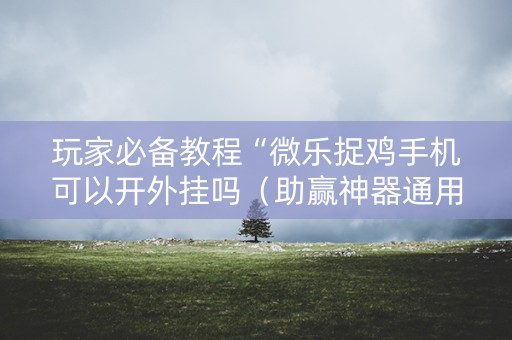 玩家必备教程“微乐捉鸡手机可以开外挂吗（助赢神器通用版）