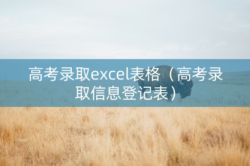 高考录取excel表格（高考录取信息登记表）