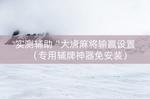 实测辅助“大唐麻将输赢设置（专用辅牌神器免安装）