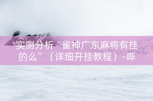 实测分析“雀神广东麻将有挂的么”（详细开挂教程）-哔哩哔哩