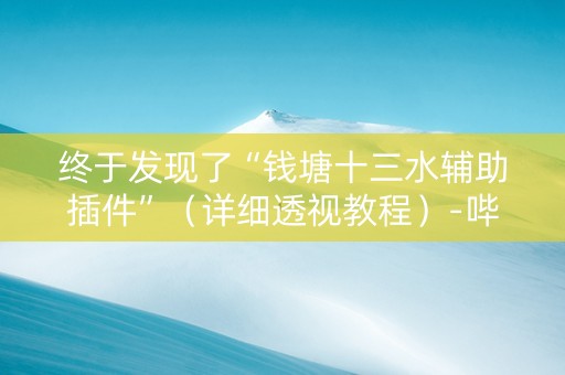 终于发现了“钱塘十三水辅助插件”（详细透视教程）-哔哩哔哩