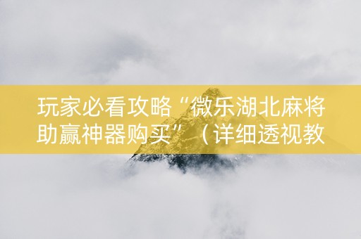 玩家必看攻略“微乐湖北麻将助赢神器购买”（详细透视教程）-哔哩哔哩