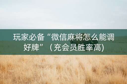 玩家必备“微信麻将怎么能调好牌”（充会员胜率高)