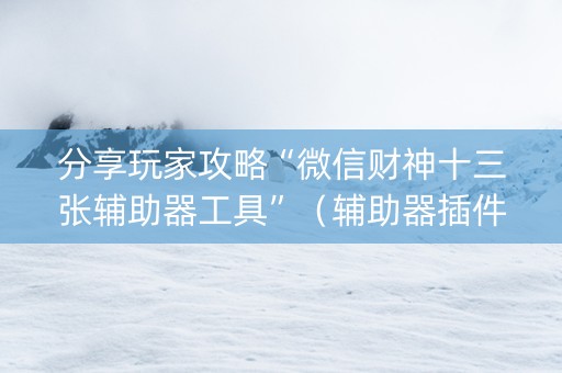 分享玩家攻略“微信财神十三张辅助器工具”（辅助器插件)