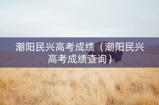 潮阳民兴高考成绩（潮阳民兴高考成绩查询）