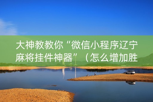 大神教教你“微信小程序辽宁麻将挂件神器”（怎么增加胜率)