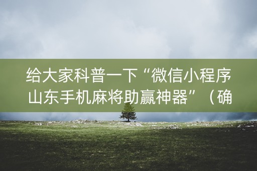 给大家科普一下“微信小程序山东手机麻将助赢神器”（确实有插件吗)