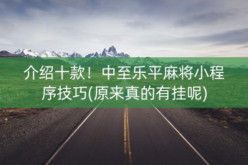 介绍十款！中至乐平麻将小程序技巧(原来真的有挂呢)