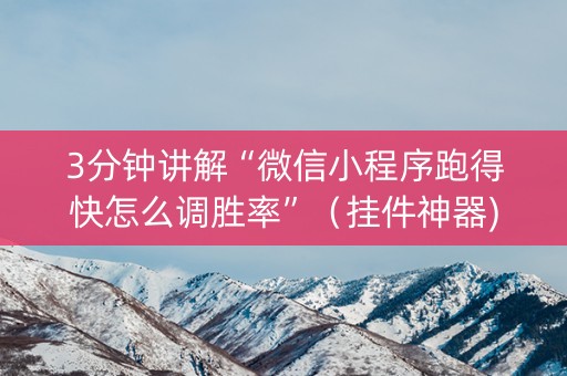 3分钟讲解“微信小程序跑得快怎么调胜率”（挂件神器)