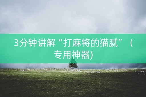 3分钟讲解“打麻将的猫腻”（专用神器)