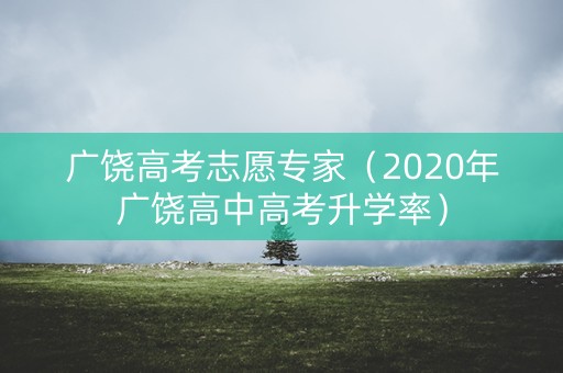 广饶高考志愿专家（2020年广饶高中高考升学率）