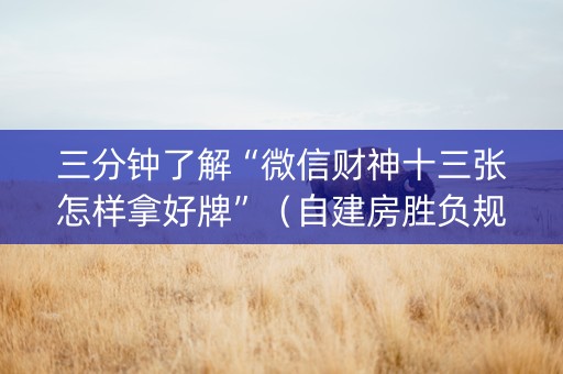 三分钟了解“微信财神十三张怎样拿好牌”（自建房胜负规律)