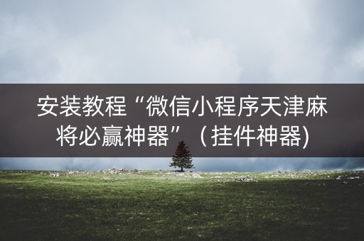安装教程“微信小程序天津麻将必赢神器”（挂件神器)