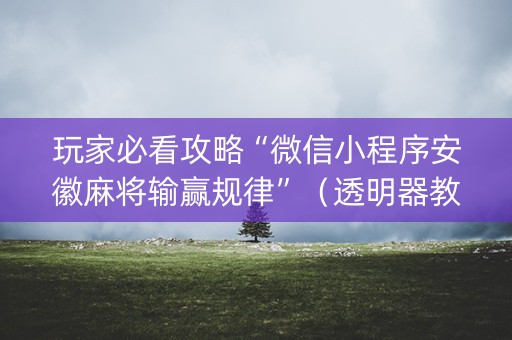 玩家必看攻略“微信小程序安徽麻将输赢规律”（透明器教程)