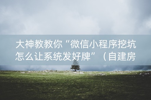 大神教教你“微信小程序挖坑怎么让系统发好牌”（自建房怎么赢)