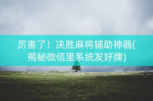 厉害了！决胜麻将辅助神器(揭秘微信里系统发好牌)
