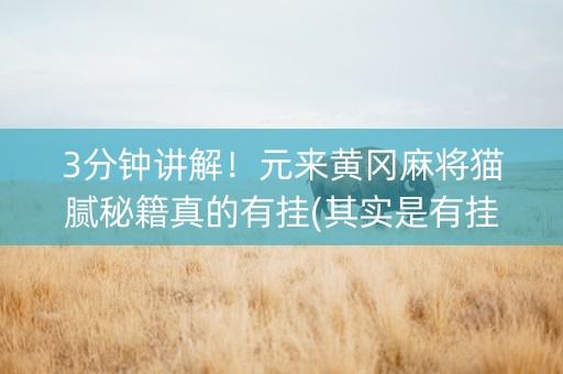 3分钟讲解！元来黄冈麻将猫腻秘籍真的有挂(其实是有挂的)
