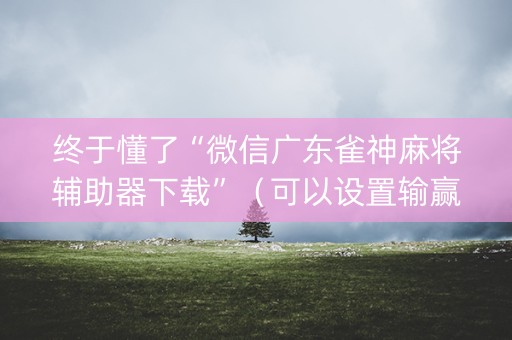 终于懂了“微信广东雀神麻将辅助器下载”（可以设置输赢吗)