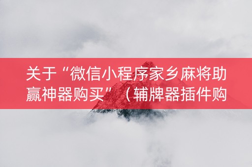 关于“微信小程序家乡麻将助赢神器购买”（辅牌器插件购买)