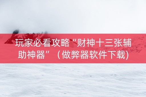 玩家必看攻略“财神十三张辅助神器”（做弊器软件下载)