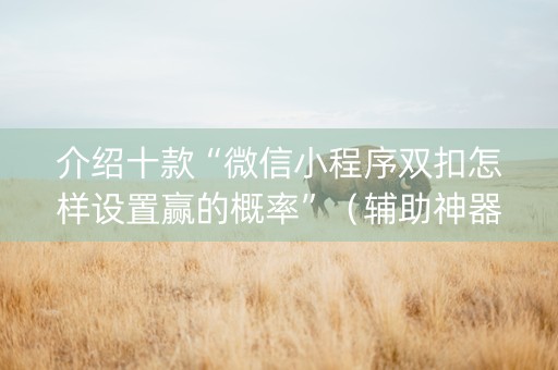 介绍十款“微信小程序双扣怎样设置赢的概率”（辅助神器免费)