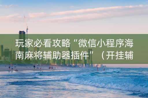 玩家必看攻略“微信小程序海南麻将辅助器插件”（开挂辅助器插件)