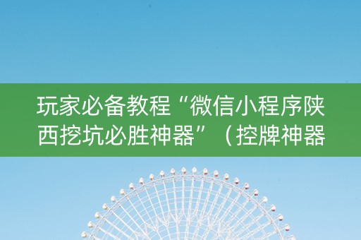 玩家必备教程“微信小程序陕西挖坑必胜神器”（控牌神器)
