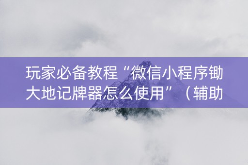 玩家必备教程“微信小程序锄大地记牌器怎么使用”（辅助器通用版)