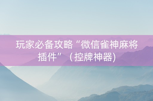 玩家必备攻略“微信雀神麻将插件”（控牌神器)