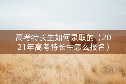 高考特长生如何录取的（2021年高考特长生怎么报名）