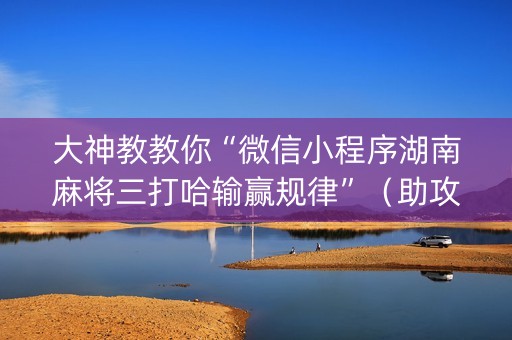 大神教教你“微信小程序湖南麻将三打哈输赢规律”（助攻神器)
