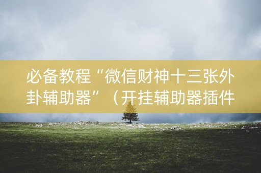 必备教程“微信财神十三张外卦辅助器”（开挂辅助器插件)