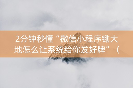 2分钟秒懂“微信小程序锄大地怎么让系统给你发好牌”（辅牌器插件购买)