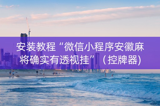 安装教程“微信小程序安徽麻将确实有透视挂”（控牌器)