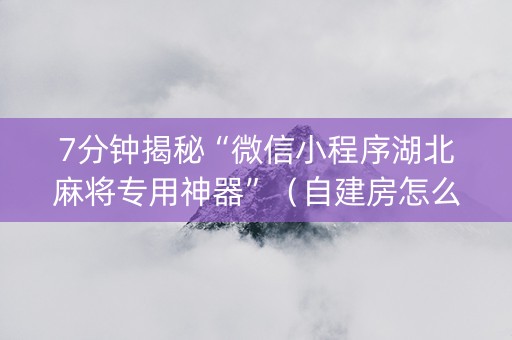 7分钟揭秘“微信小程序湖北麻将专用神器”（自建房怎么拿好牌)