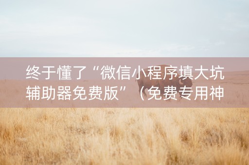 终于懂了“微信小程序填大坑辅助器免费版”（免费专用神器)