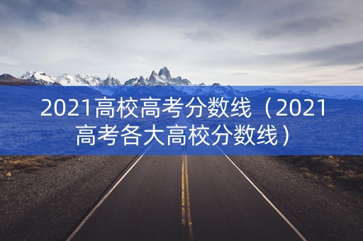 2021高校高考分数线（2021高考各大高校分数线）