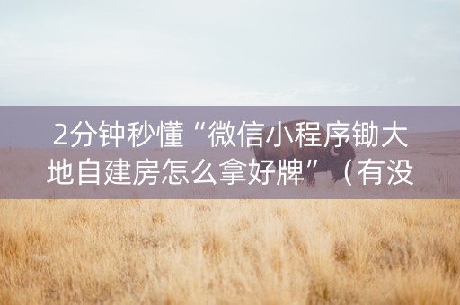 2分钟秒懂“微信小程序锄大地自建房怎么拿好牌”（有没有猫腻)