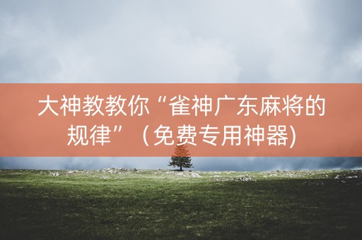 大神教教你“雀神广东麻将的规律”（免费专用神器)
